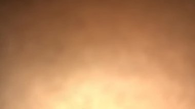 She sucking daddy dick all day everyday